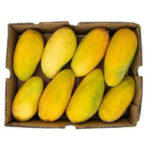 Sindhri Mango l Export Quality Box